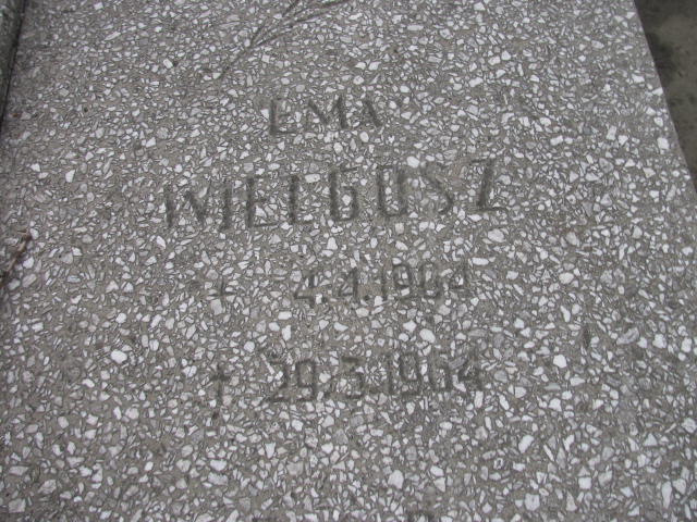 Ema Wielgosz 1904 Zabrze Kończyce - Grobonet - Wyszukiwarka osób pochowanych
